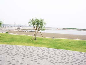 人工海浜