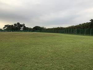 グラウンド